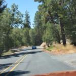 OTRA2013_0922 (July 12, 2013)